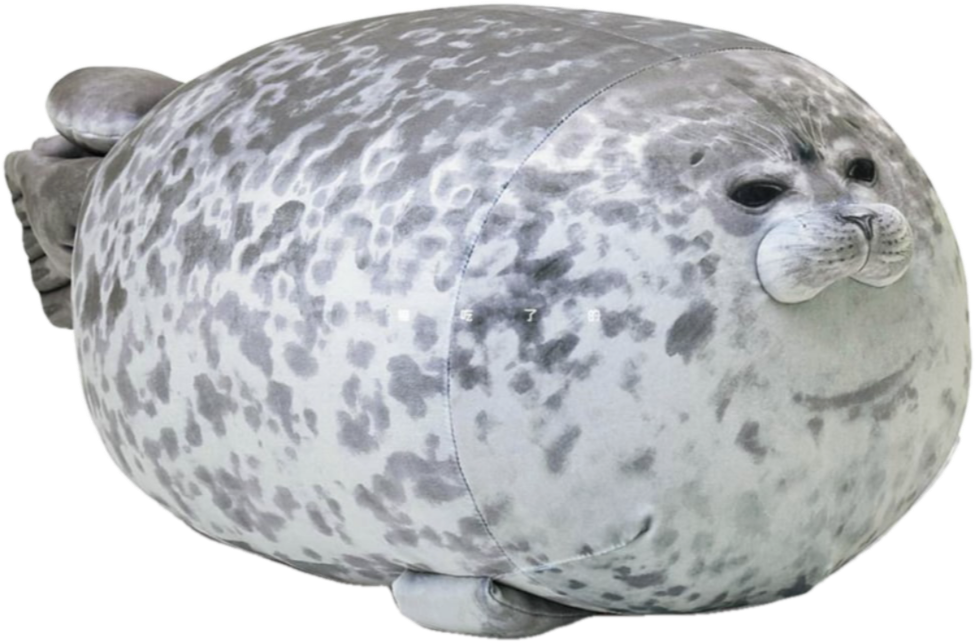Grey angry Chubseal being displayed
