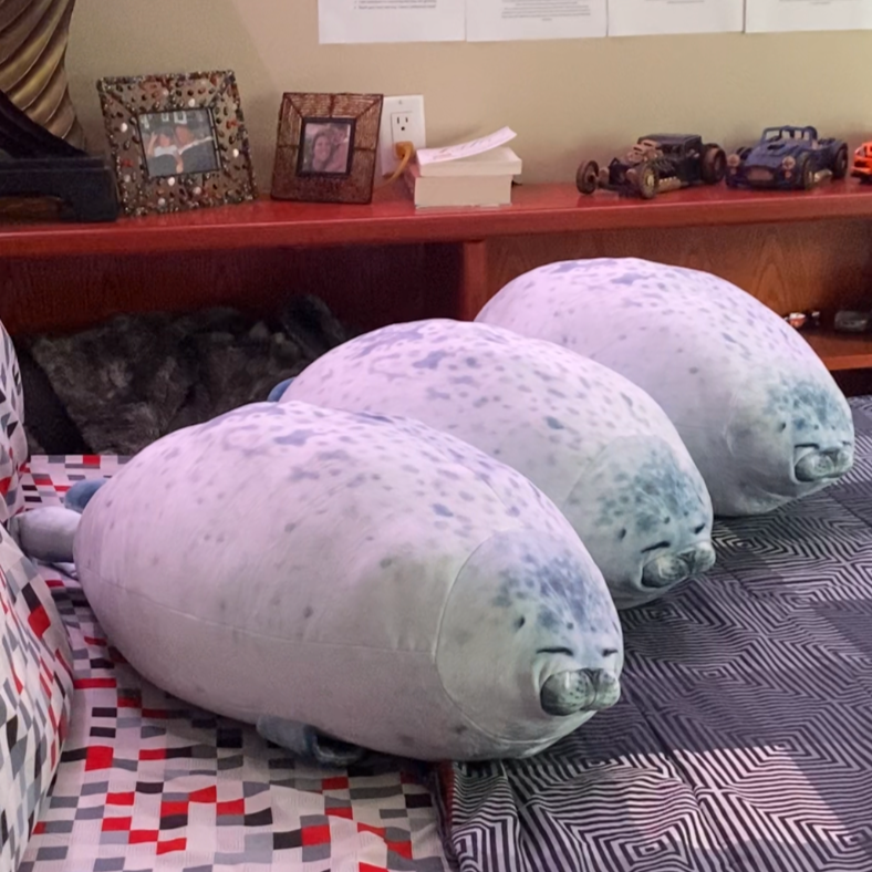 Three happy seals sitting on a mattress