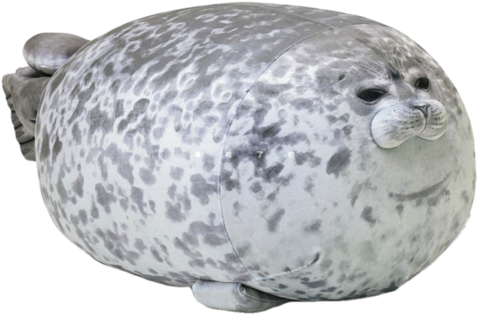Grey angry Chubseal being displayed 