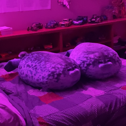 Two angry seals sitting on a mattress 